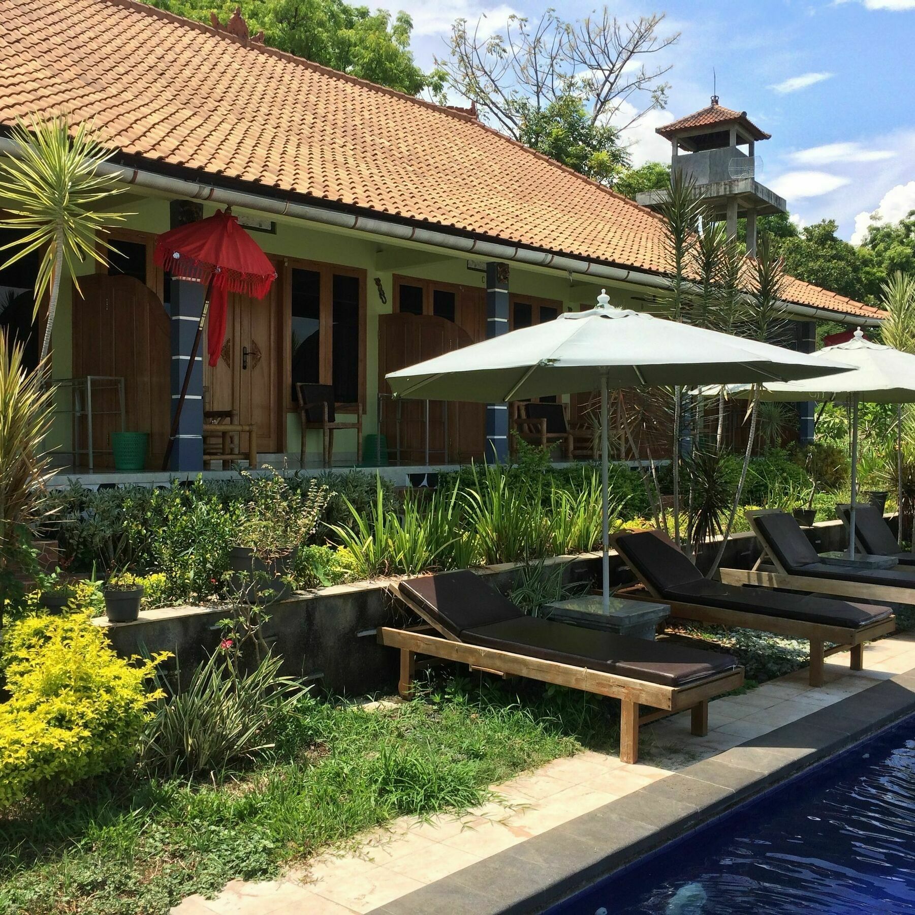Bali Natur Lovina Exteriér fotografie